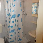 Marina شقة *